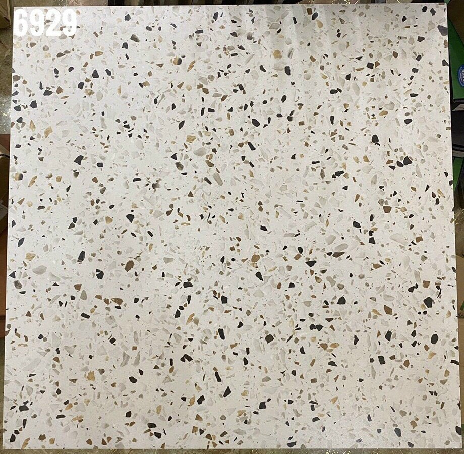 Gạch terrazzo 600x600mm (6929) DS6929