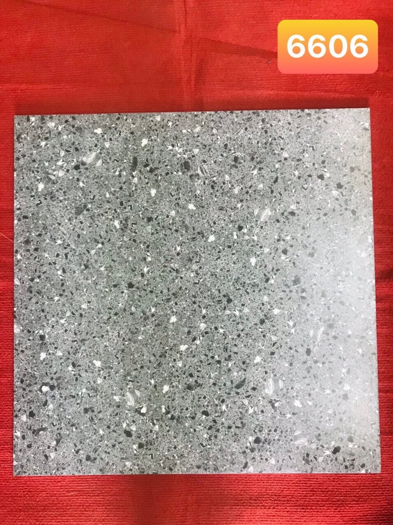 Terrazo 60*60 6606