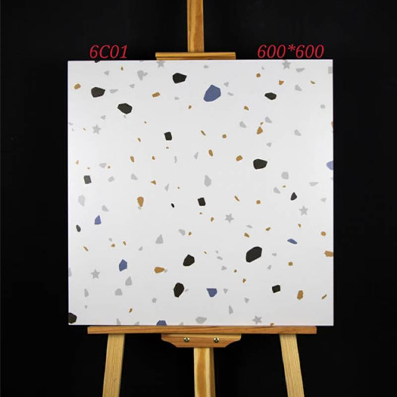 Terrazzo 60*60 6C01