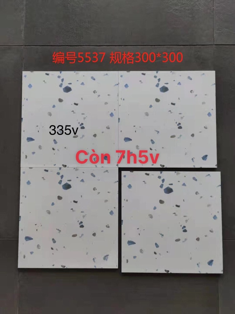 Gạch Terrazzo 300x300mm mã 5537
