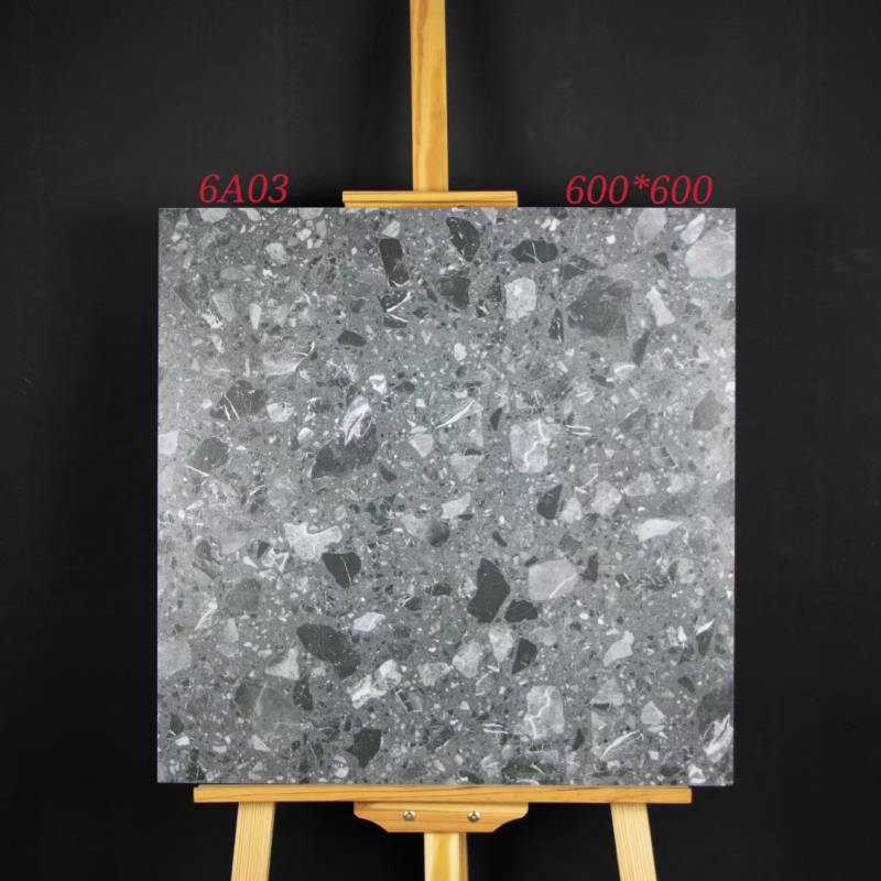 Gạch Terrazzo 600x600 Men Matt 6A03