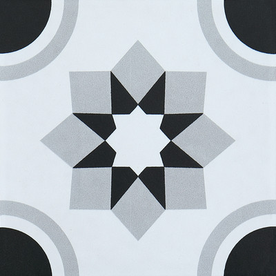 Gạch bông 200x200 DC202