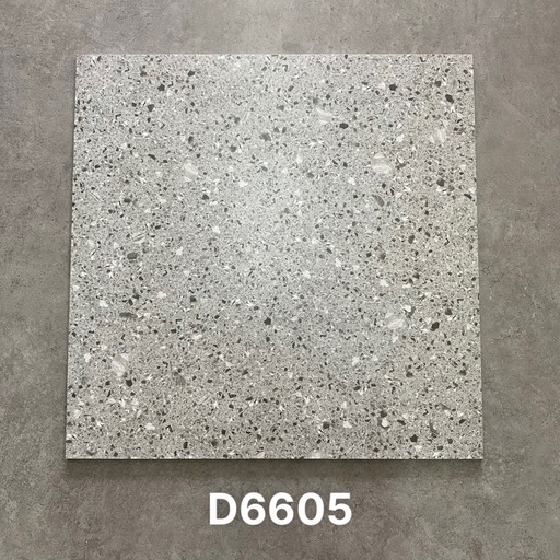 Gạch Terrazo 600x600mm D6605