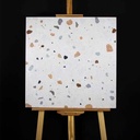 Gạch Terrazzo KT 600x600mm mã DS-66007