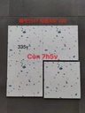 Gạch Terrazzo 300x300mm mã 5537
