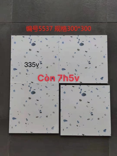 Gạch Terrazzo 300x300mm mã 5537