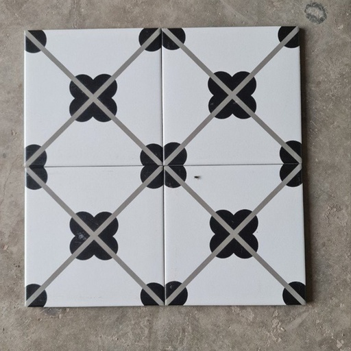 Gạch bông 20x20cm ND210