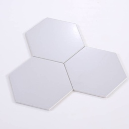 Gạch thẻ lục giác xám nhạt 200x230x115mm M23202-A