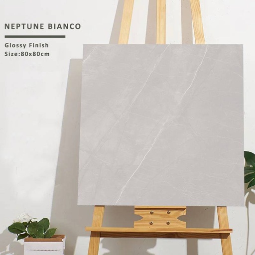 Gạch khổ lớn cao cấp nhập khẩu Ấn Độ men bóng 800x800mm [Neptune Bianco_8080]