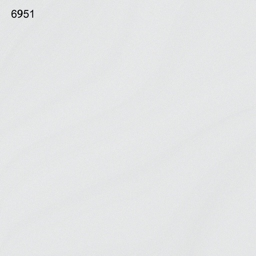 Gạch menmatt trắng mờ TS0951