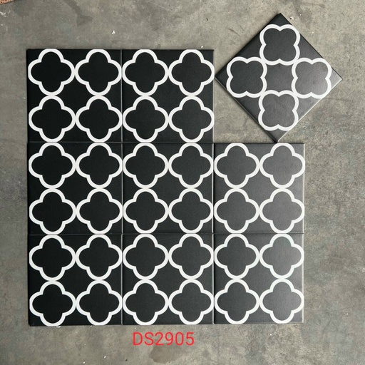 Gạch bông 20x20cm DS2905