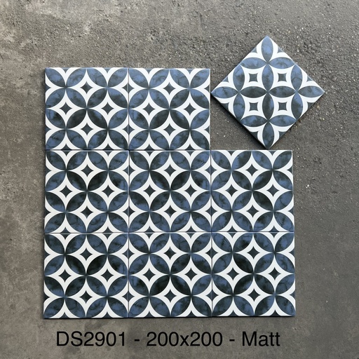 Gạch bông DS - 2901