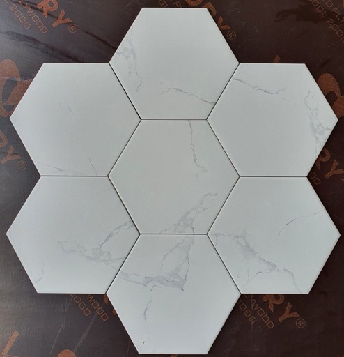 [23029] Gạch Bông Lục Giác 230x200x115 23029