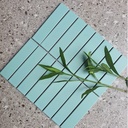 Gạch Mosaic Que 32x145mm Xanh Mint MHT3205M (305)