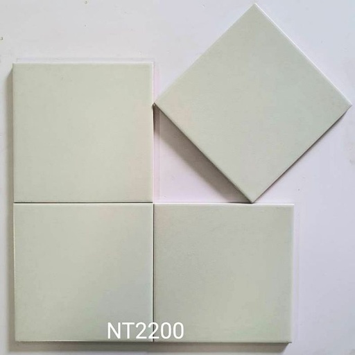 [NT2200] Gạch Bông 200x200mm Men Matt NT2200
