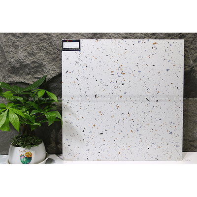 [VA6616] Gạch Terrazzo 600x600 Men Matt VA6616