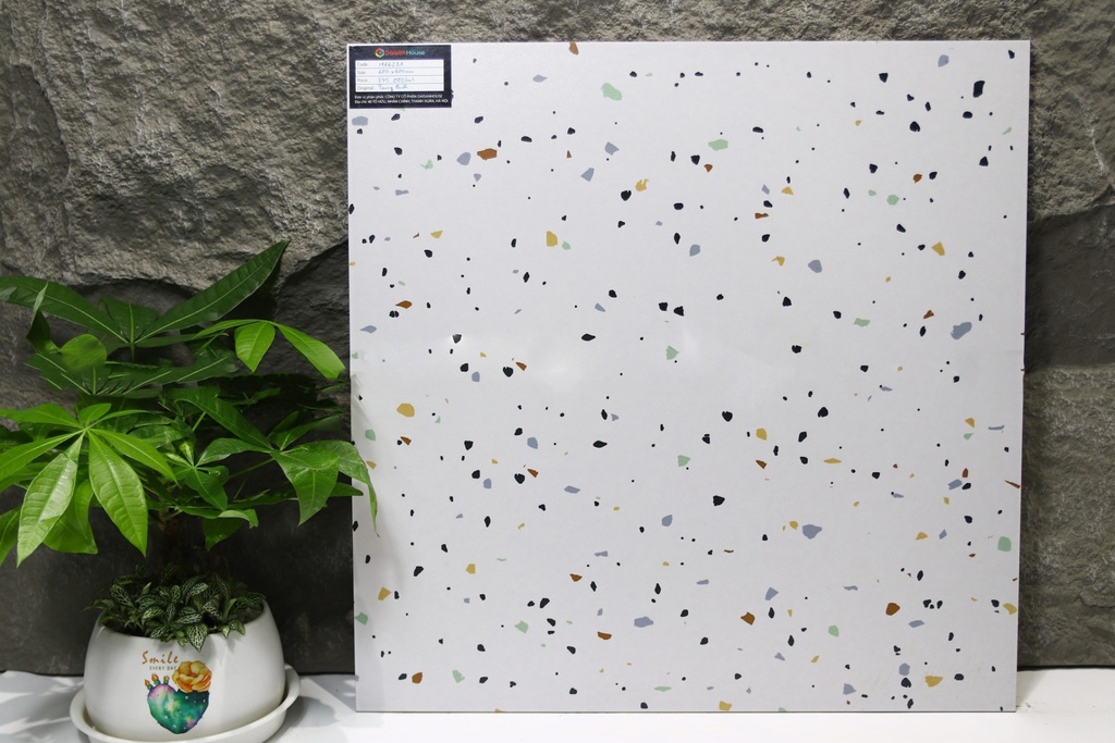 Gạch Terrazzo 600x600mm Men Matt H66231