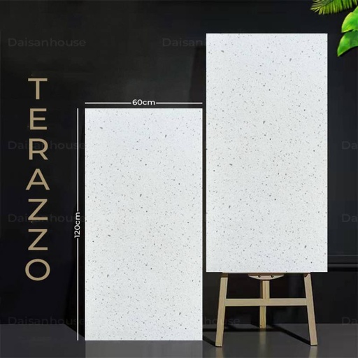 Gạch Terrazzo 600x1200mm DS126013