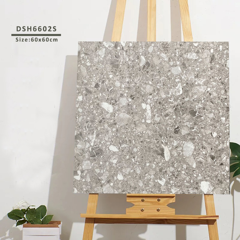 Gạch Terrazzo 600x600mm Men Matt DSH6602S