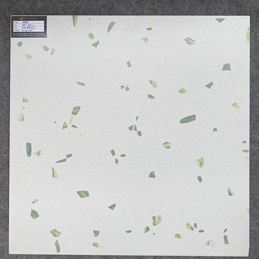Gạch terrazzo 600x600mm DS66086