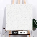 Gạch terrazzo 600x600 (6924) DS66024